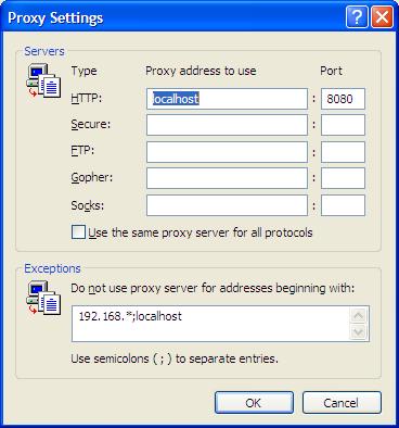 Internet Explorer advanced proxy settings